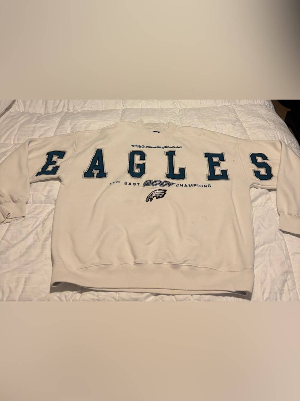 Abercrombie & Fitch Philadelphia Eagles AOP Spirit Jersey Sweatshirt Size Large